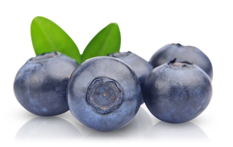Blueberries PNG    图片编号:26743