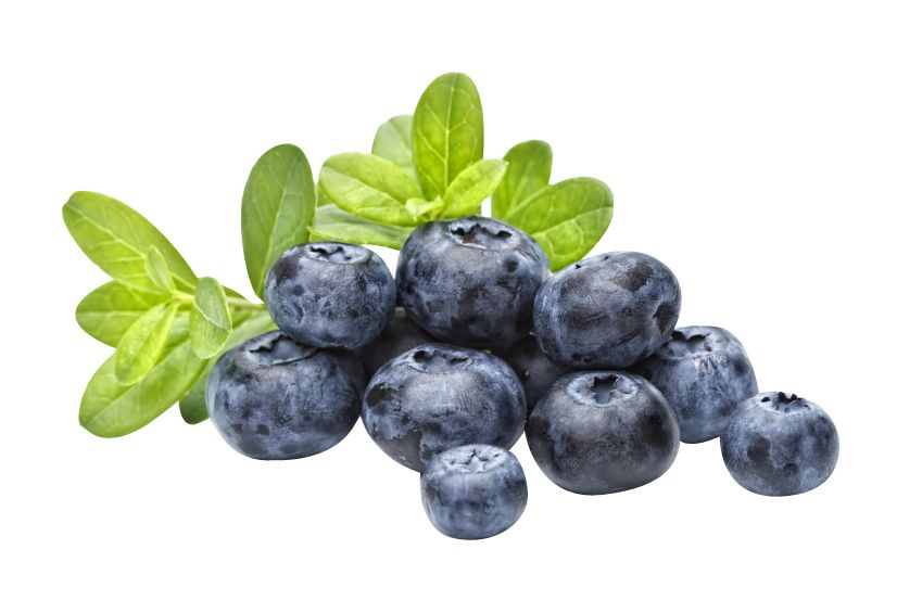 Blueberries PNG    图片编号:26744