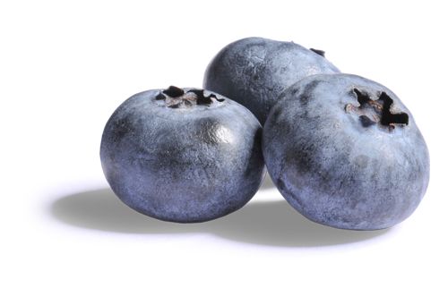 Blueberries PNG    图片编号:26745