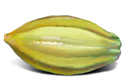 Cacao PNG    图片编号:42012