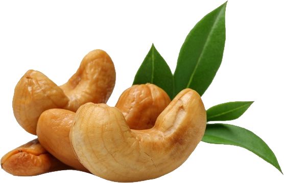 Cashew nut PNG    图片编号:57950