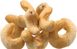 Cashew nut PNG    图片编号:57972