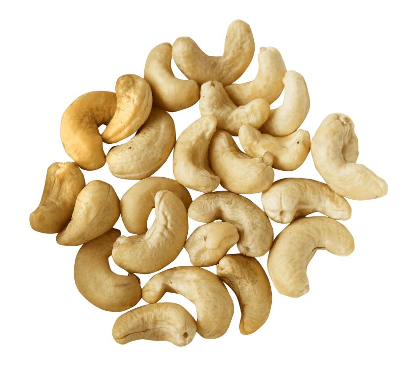 Cashew nut PNG    图片编号:57976