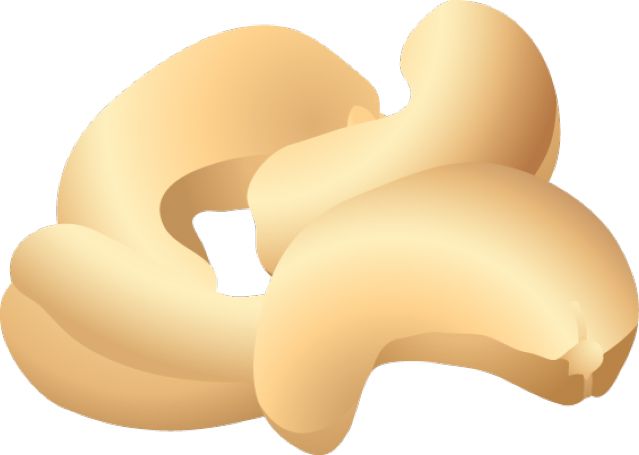 Cashew nut PNG    图片编号:57978