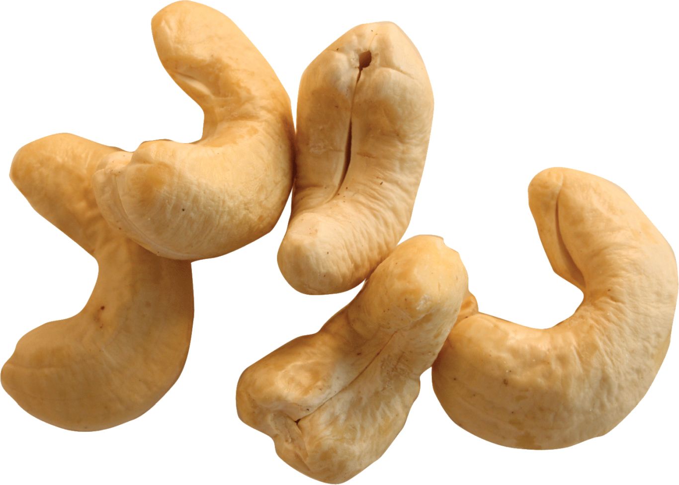 Cashew nut PNG    图片编号:57952