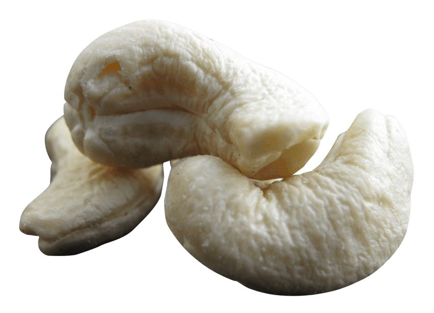 Cashew nut PNG    图片编号:57979
