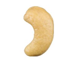 Cashew nut PNG    图片编号:57984