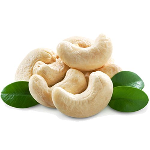 Cashew nut PNG    图片编号:57988