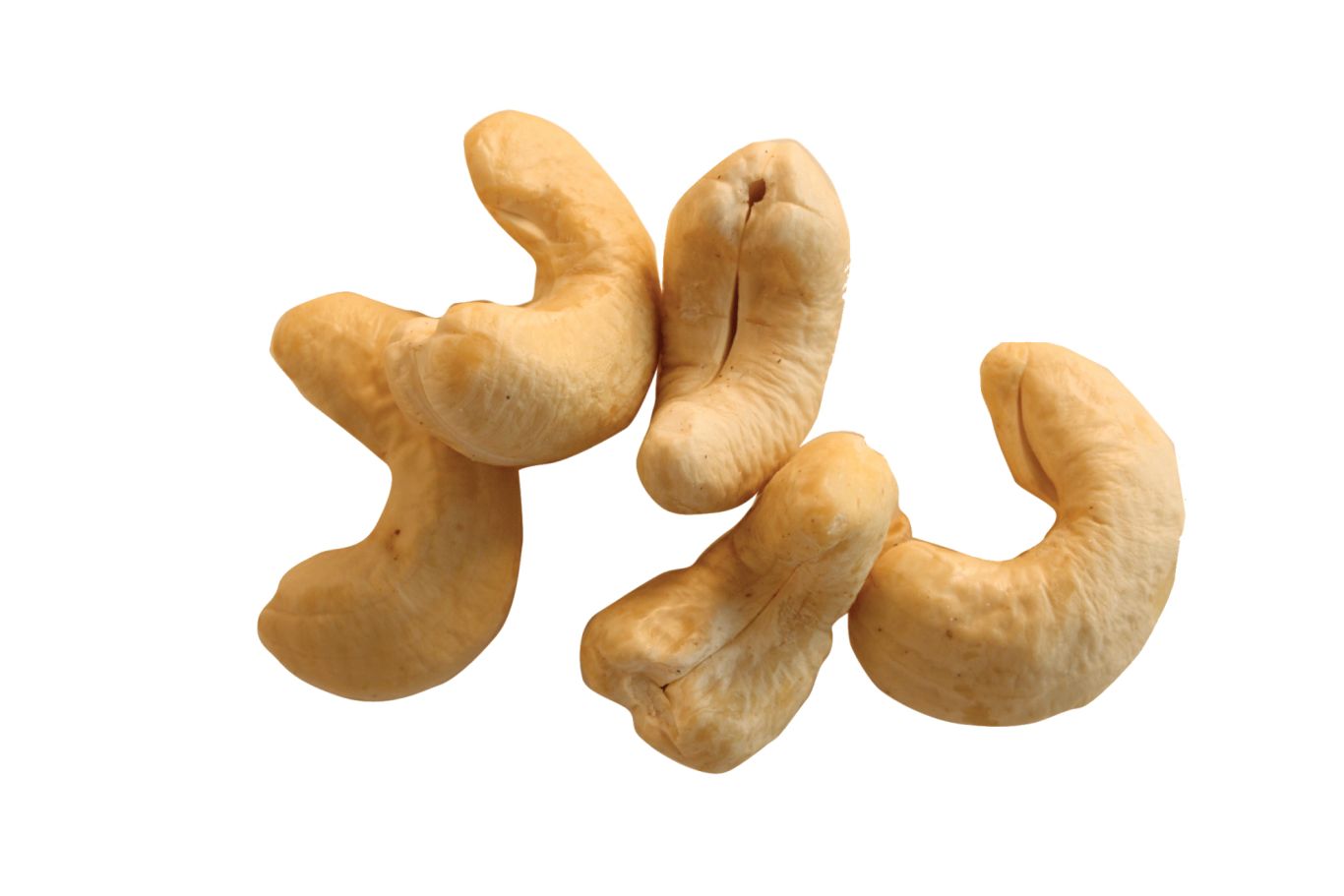 Cashew nut PNG    图片编号:57994
