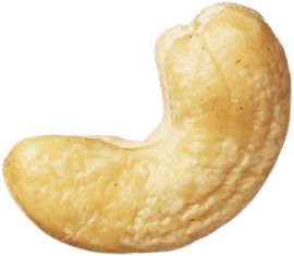 Cashew nut PNG    图片编号:57998
