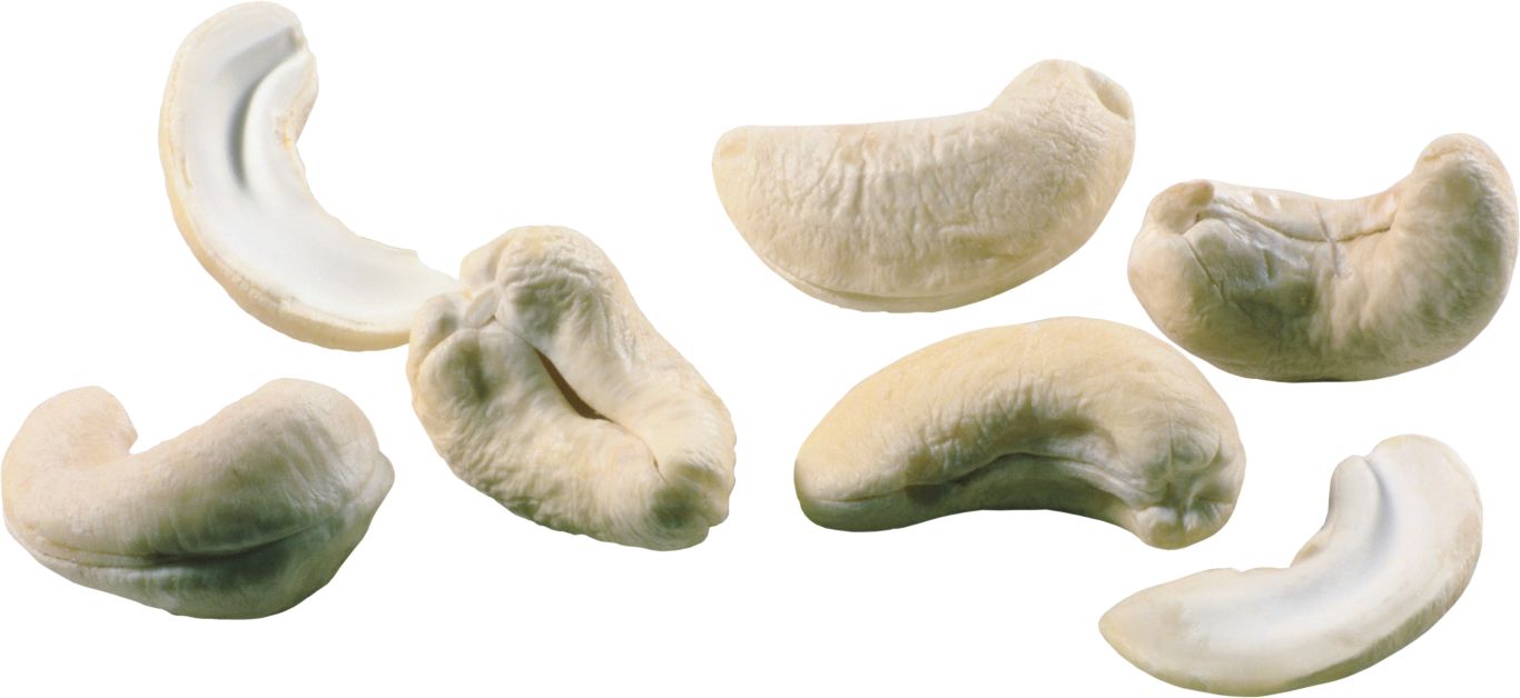Cashew nut PNG    图片编号:57999