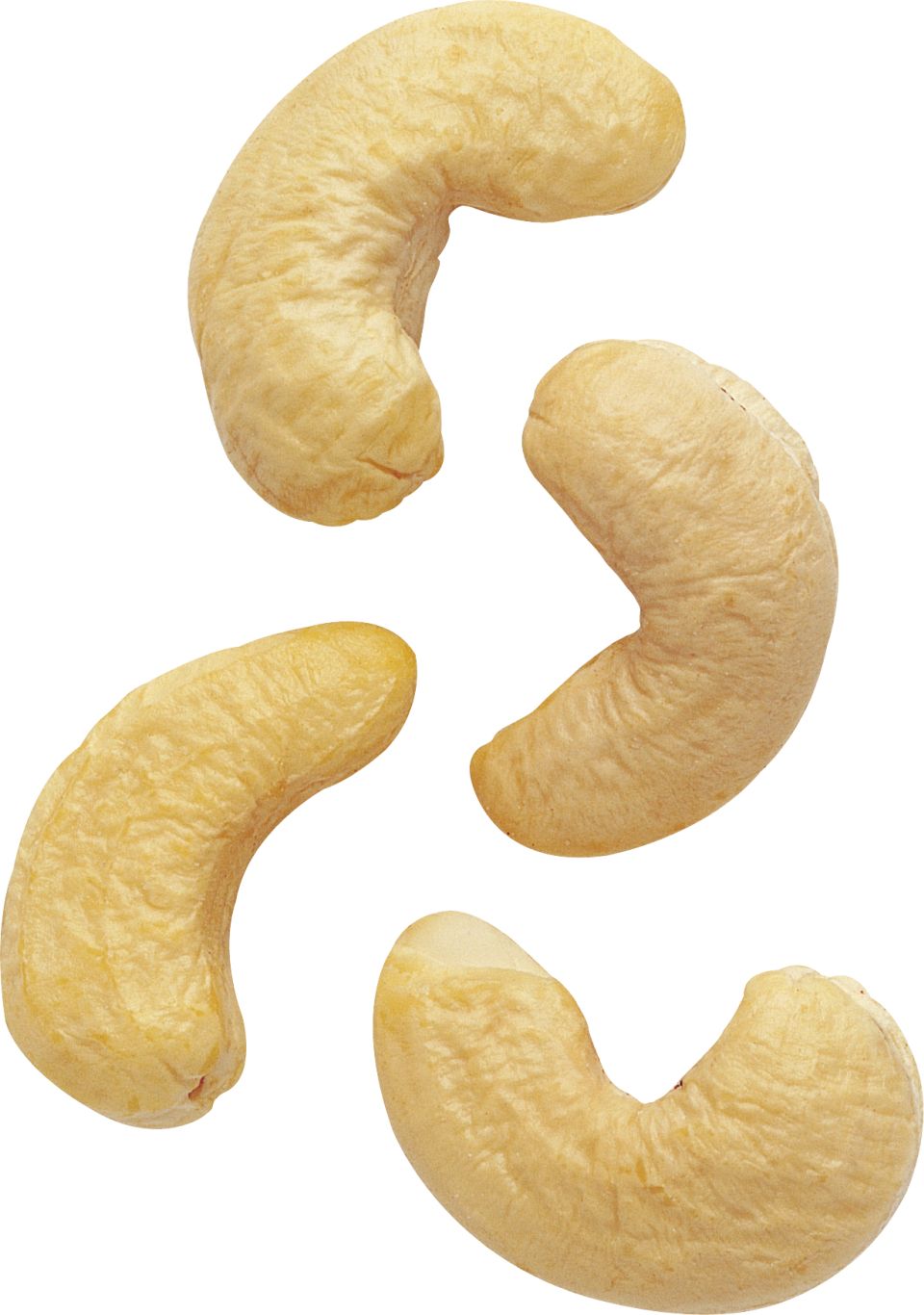 Cashew nut PNG    图片编号:58002