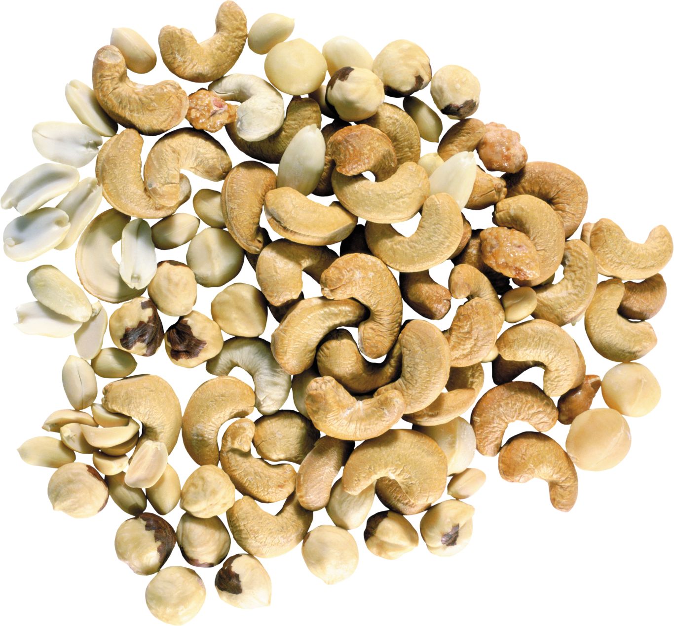 Cashew nut PNG    图片编号:58005