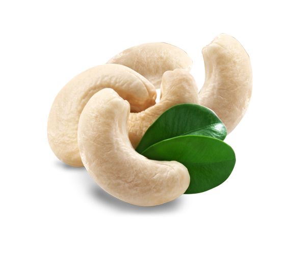 Cashew nut PNG    图片编号:58007