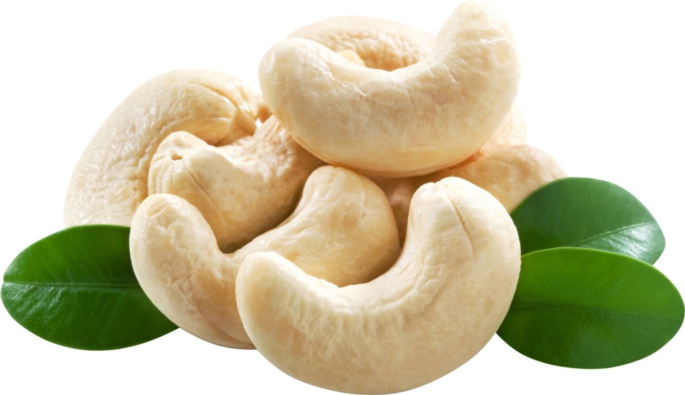 Cashew nut PNG    图片编号:57956