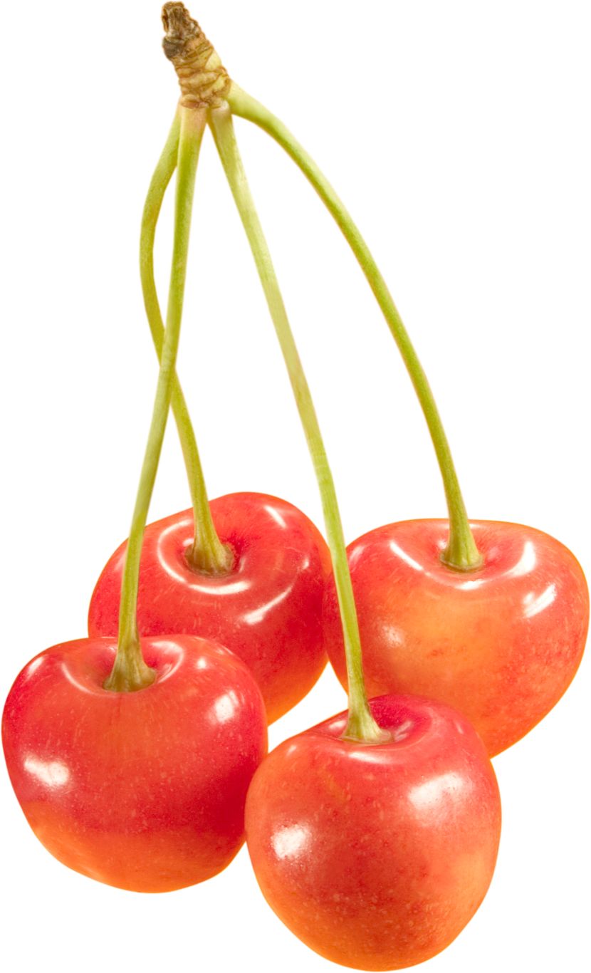 cherries PNG image    图片编号:3078