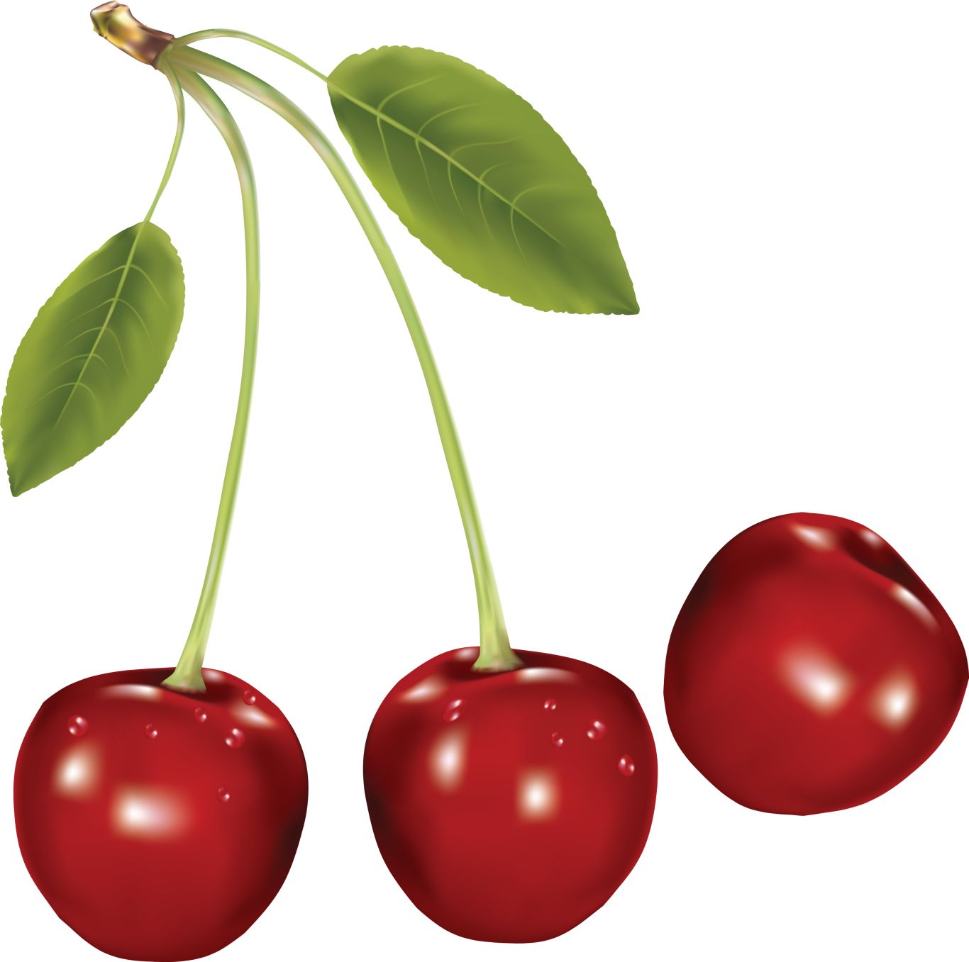 cherries PNG image    图片编号:3085