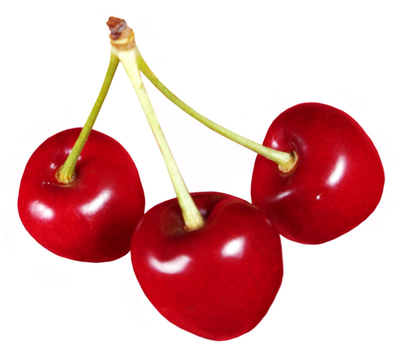 cherries PNG image    图片编号:3091