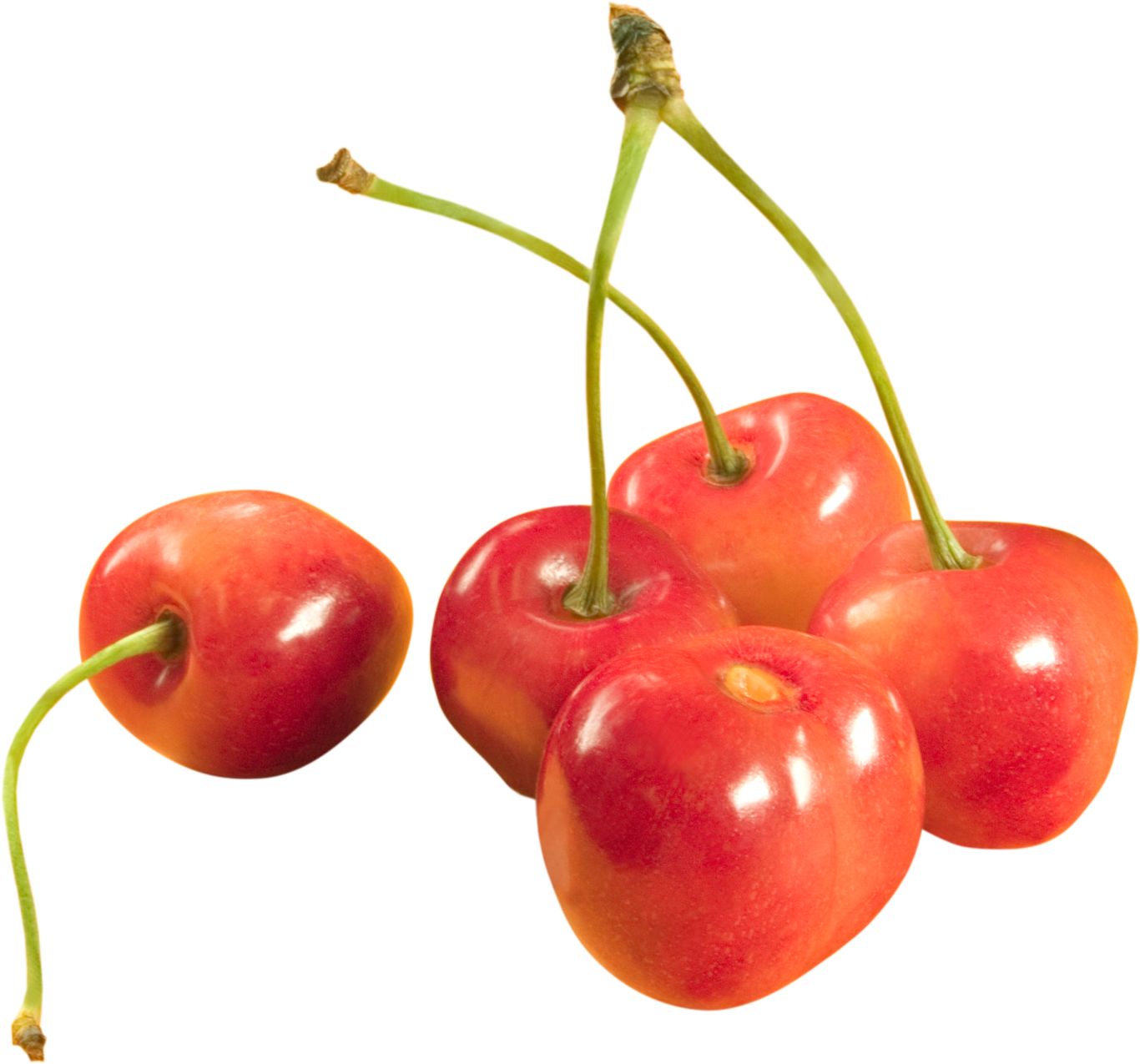 cherries PNG image    图片编号:3092