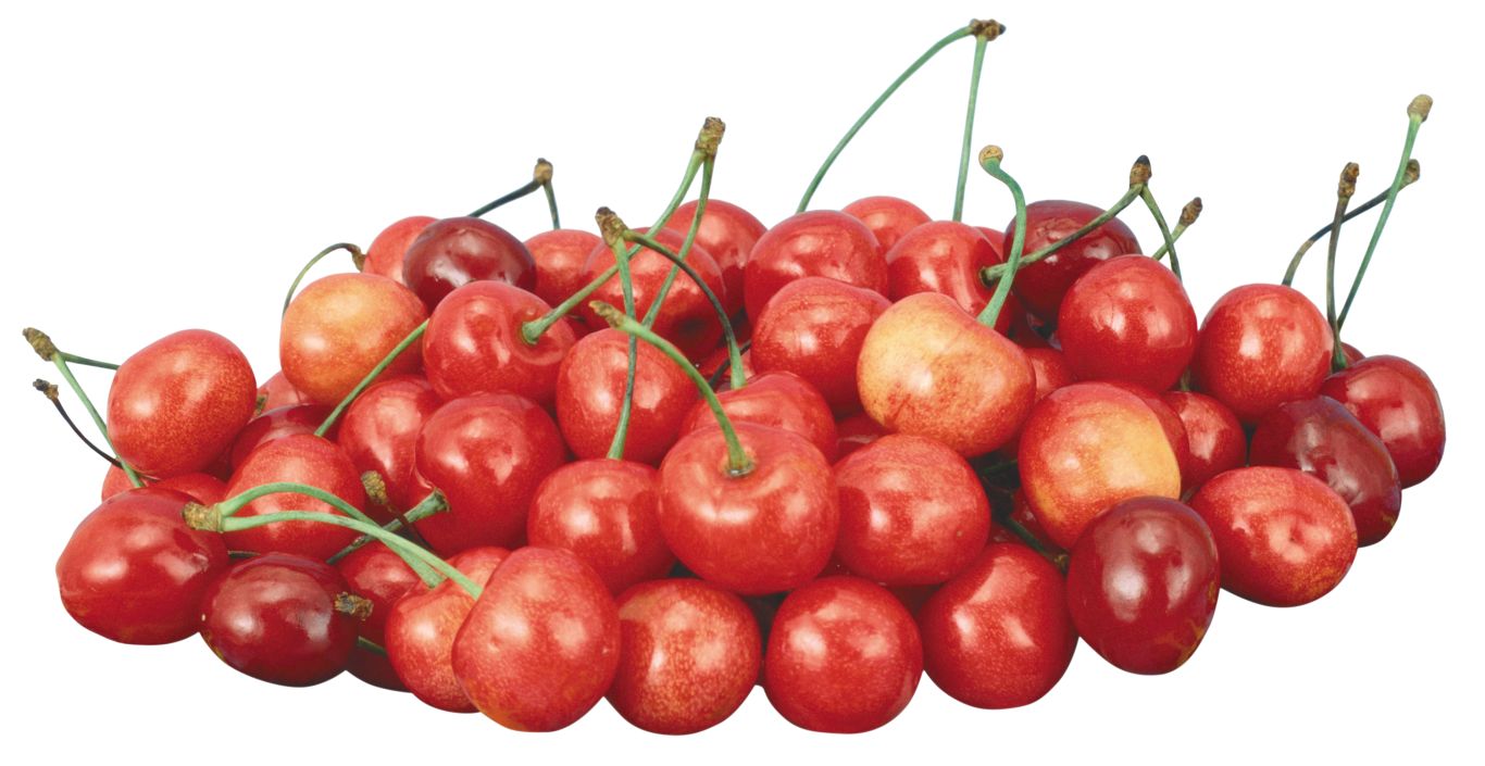 red cherry PNG image, free download    图片编号:613