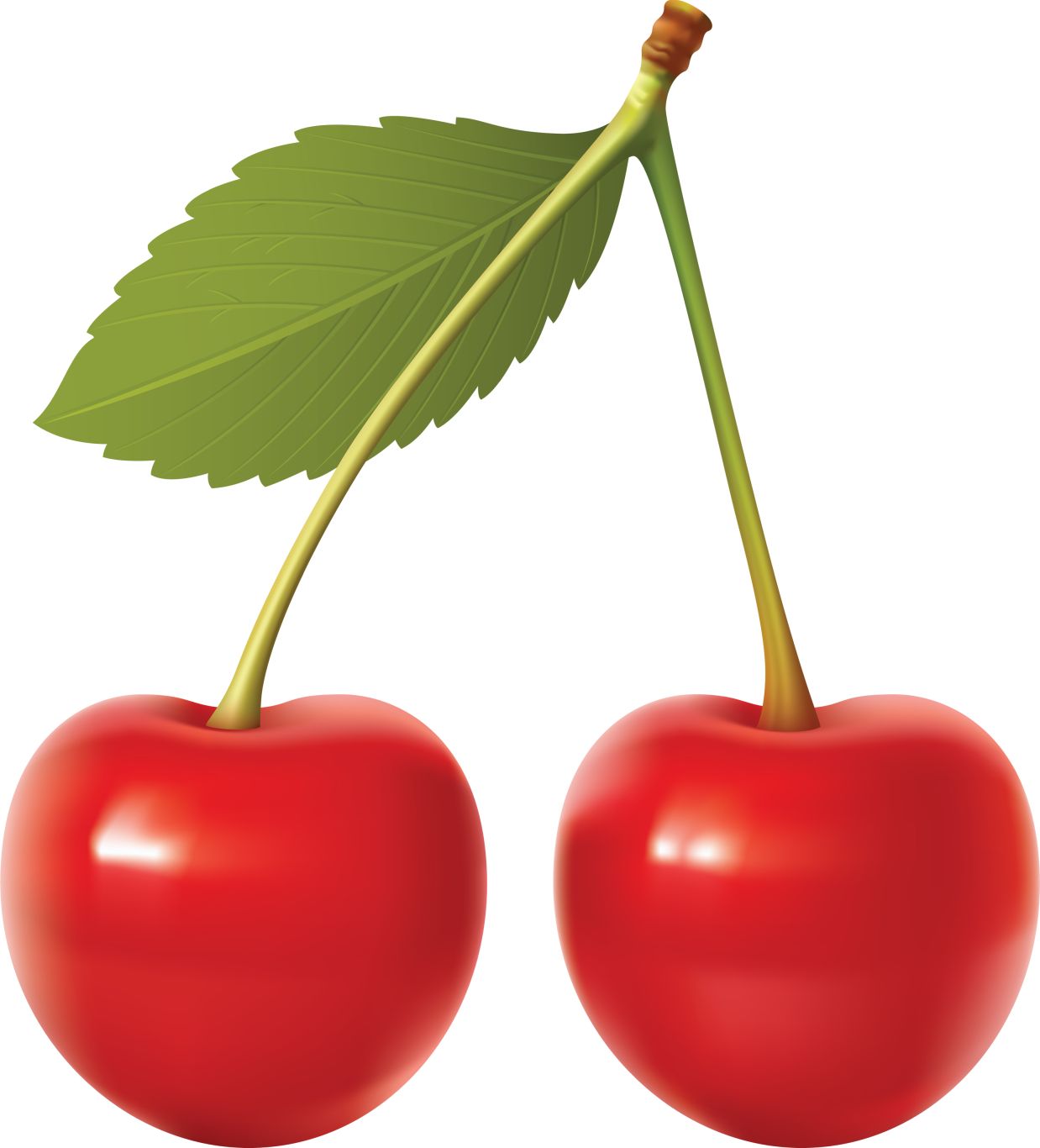 red cherry PNG image, free download    图片编号:614