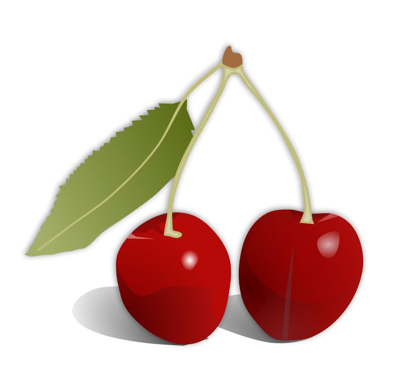 red cherry PNG image, free download    图片编号:615