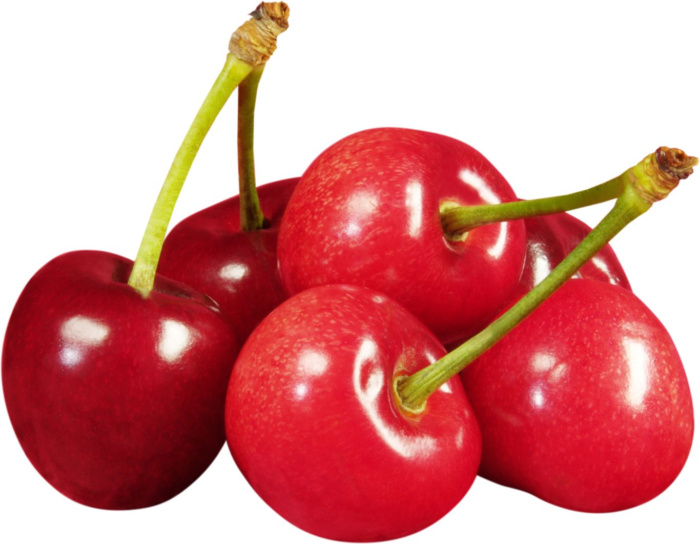 red cherry PNG image, free download    图片编号:619