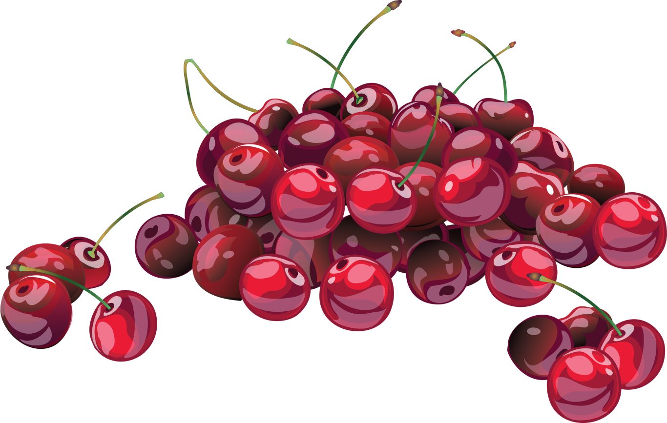 red cherry PNG image, free download    图片编号:620