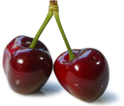 red cherry PNG image, free download    图片编号:621