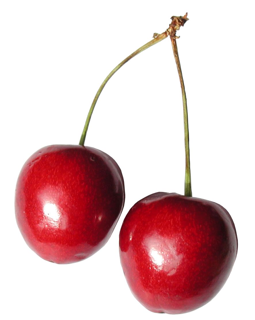 red cherry PNG image, free download    图片编号:622