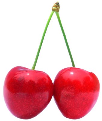 red cherry PNG image, free download    图片编号:623