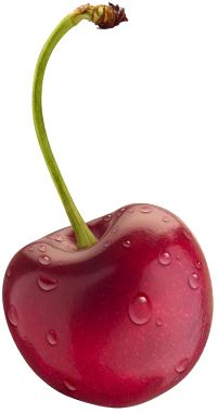 red cherry PNG image, free download    图片编号:624