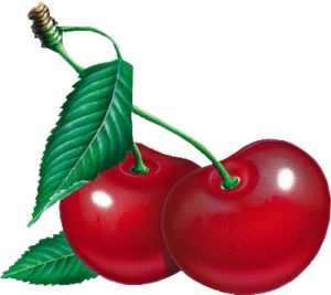 red cherry PNG image, free download    图片编号:625