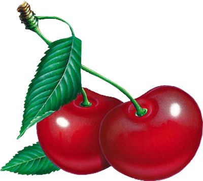 red cherry PNG image, free download    图片编号:627