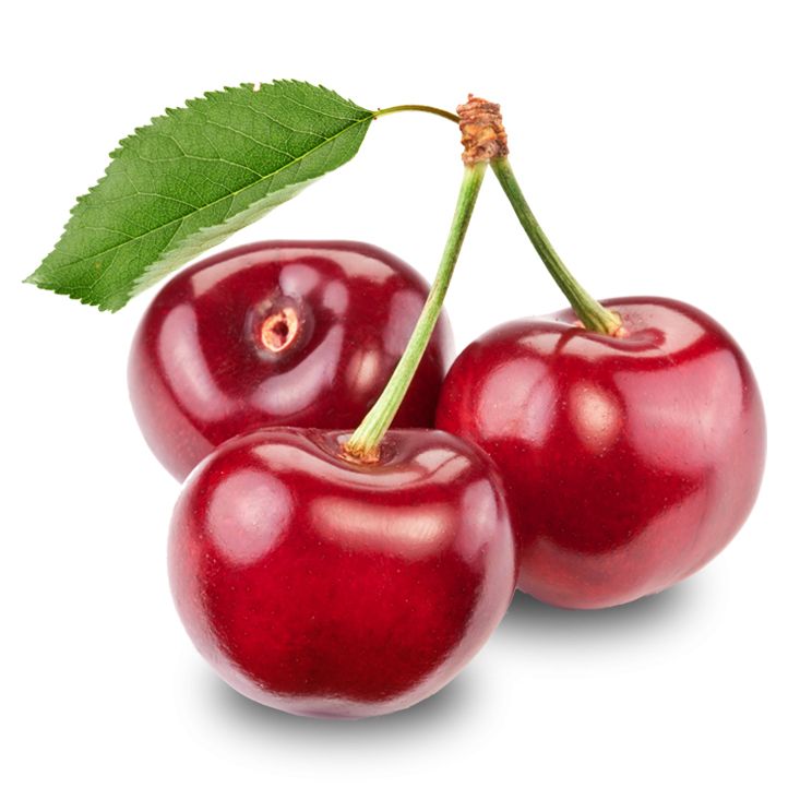red cherry PNG image, free download    图片编号:629