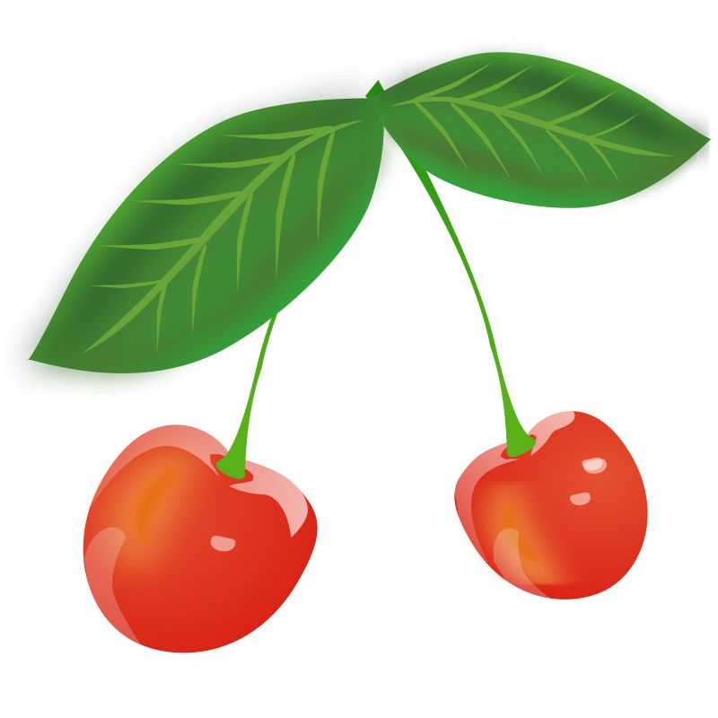 red cherry PNG image, free download    图片编号:631