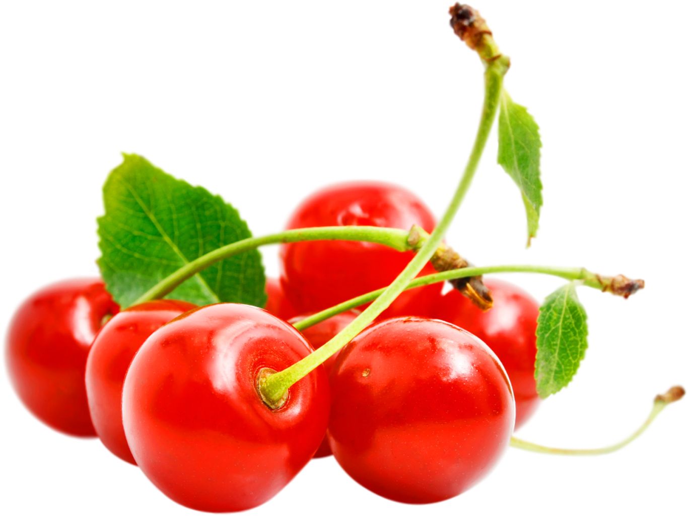 red cherry PNG image, free download    图片编号:634