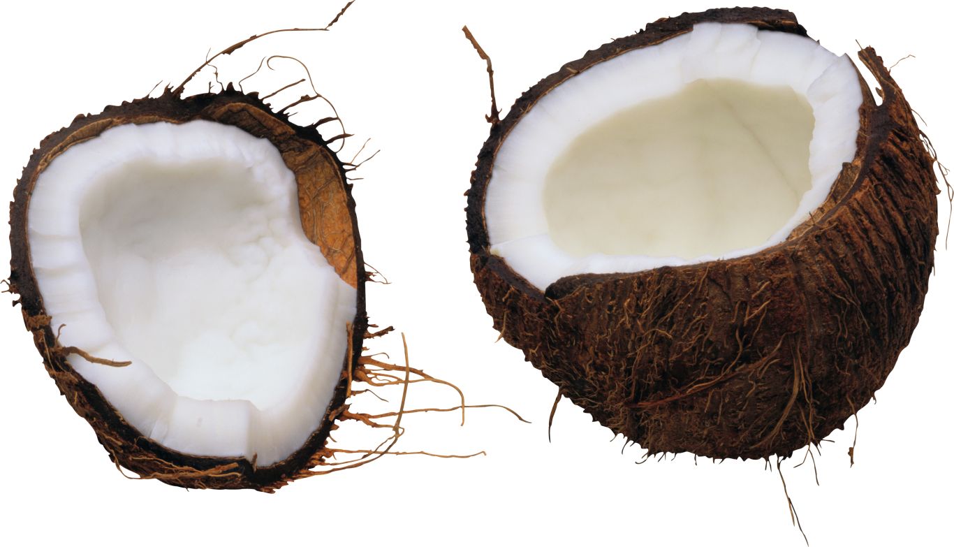 Coconut PNG image    图片编号:9134