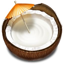 Coconut PNG image    图片编号:9146