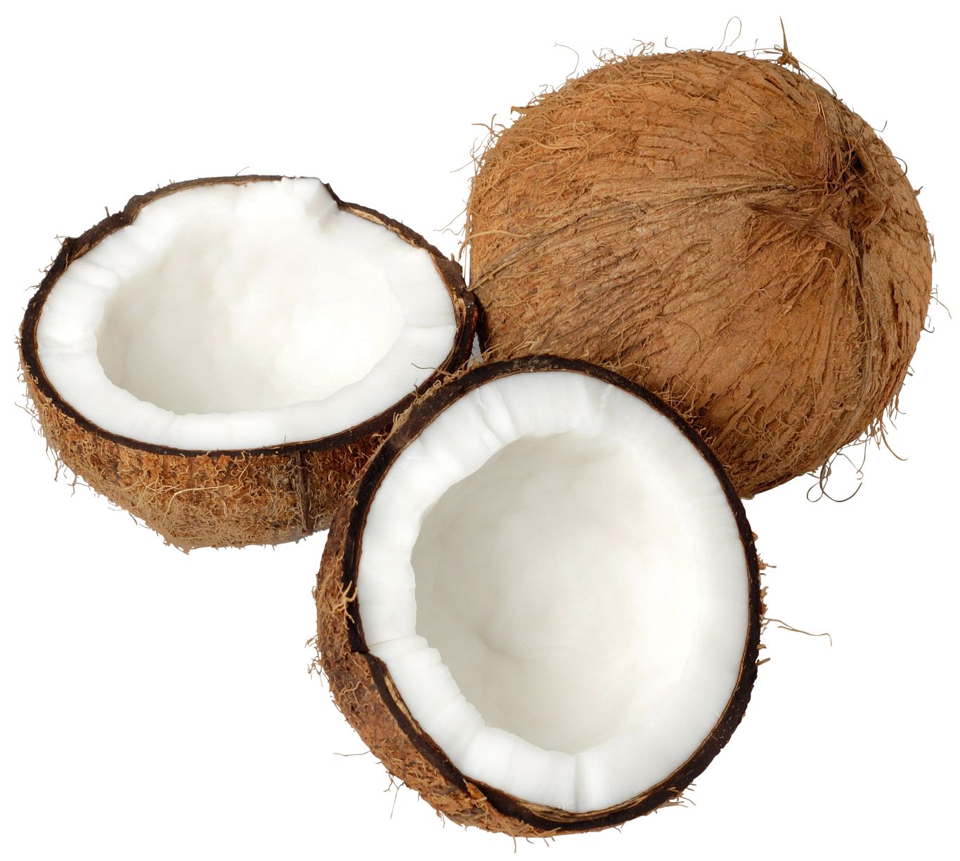 Coconuts PNG image    图片编号:9149