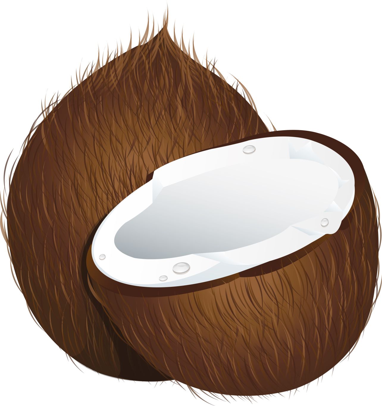 Coconut PNG image    图片编号:9150