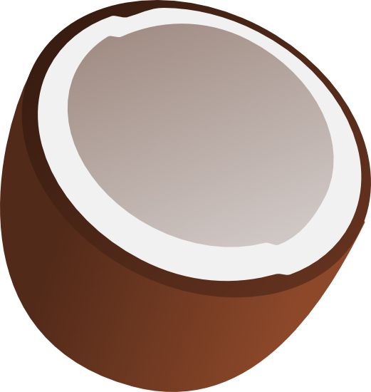 Coconut PNG image    图片编号:9156