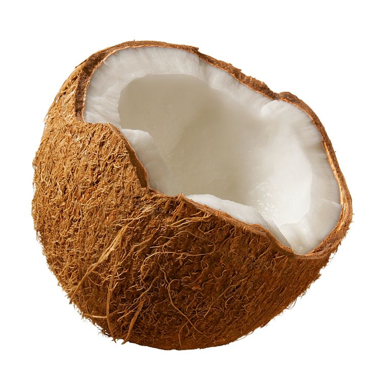 Coconut PNG image    图片编号:9157