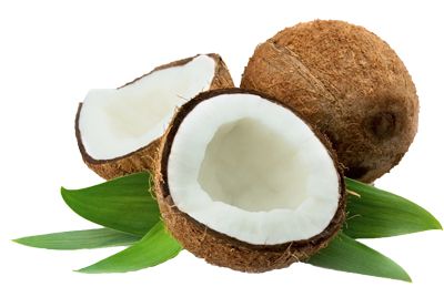 Coconut PNG image    图片编号:9158