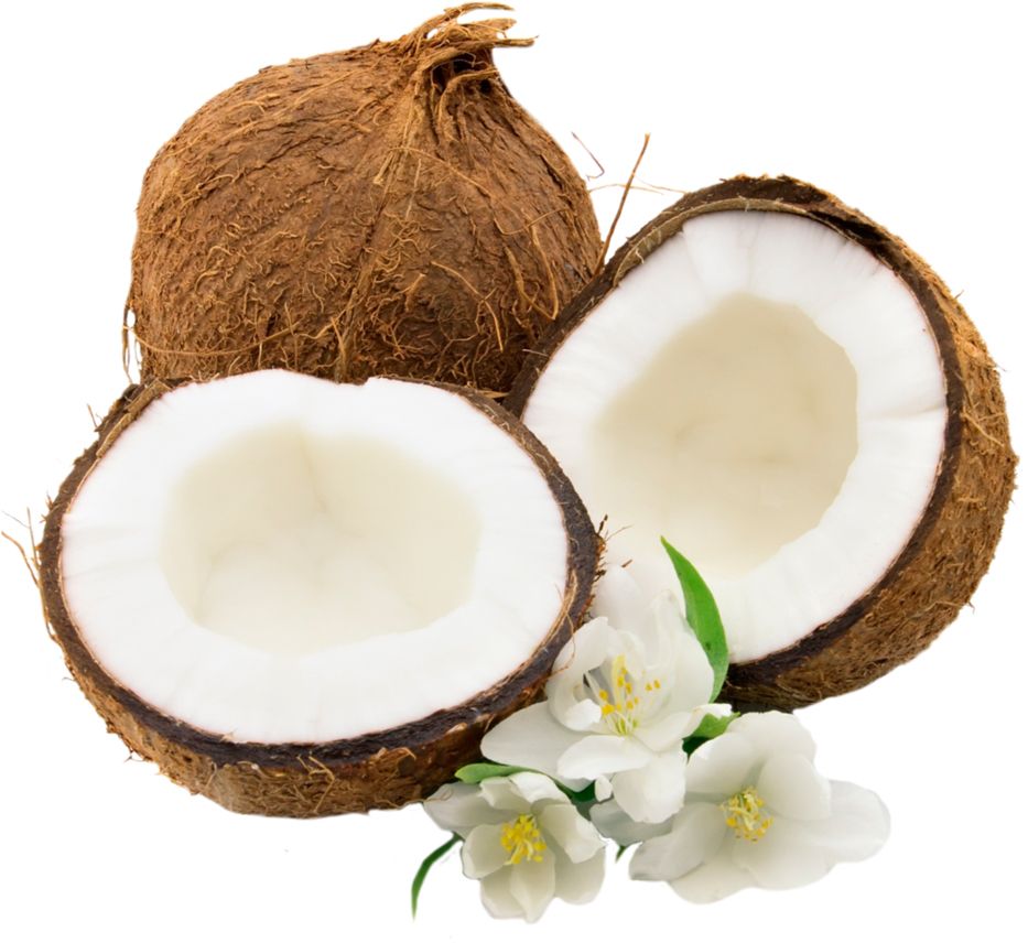 Coconut PNG image    图片编号:9159