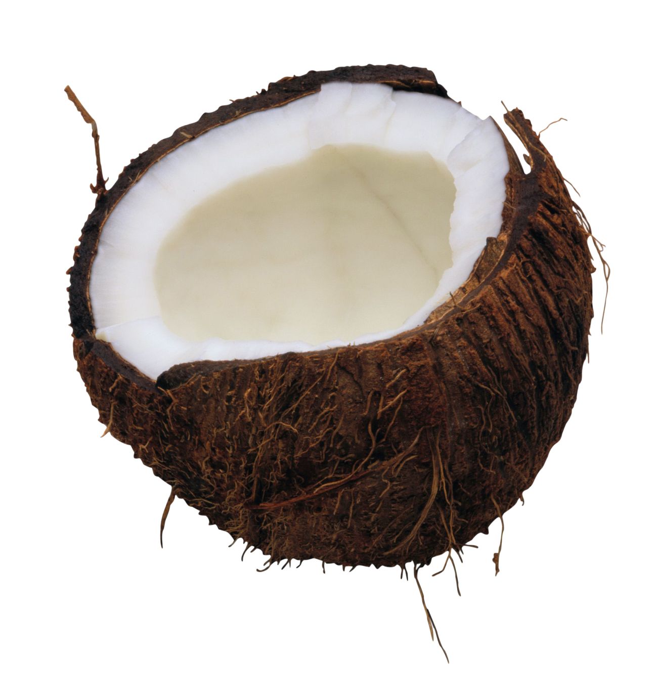 Coconut PNG image    图片编号:9160