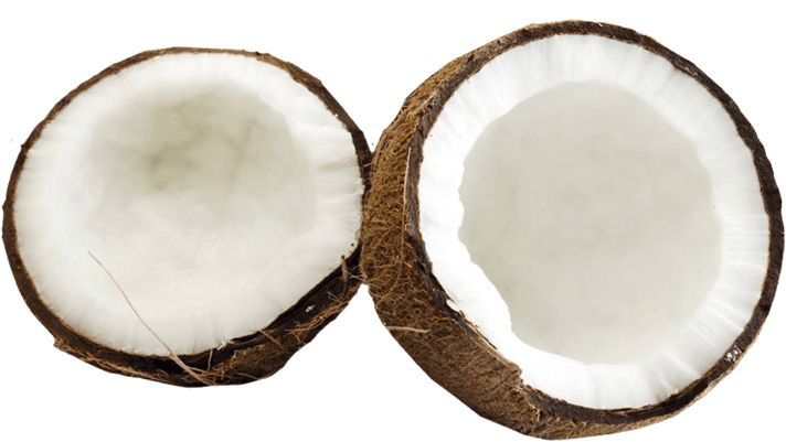 Coconut PNG image    图片编号:9161