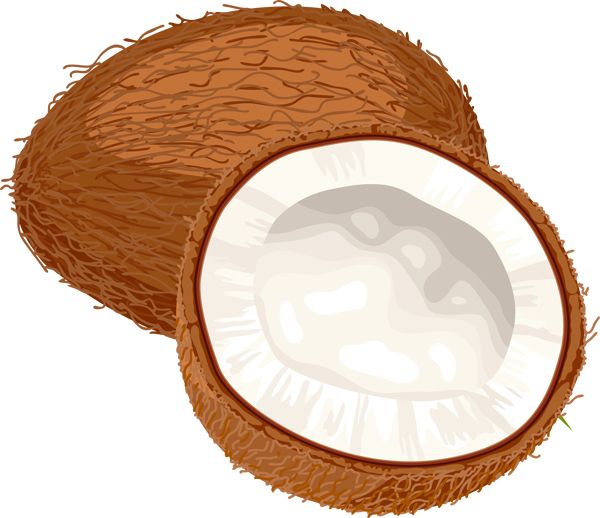 Coconuts PNG image    图片编号:9162