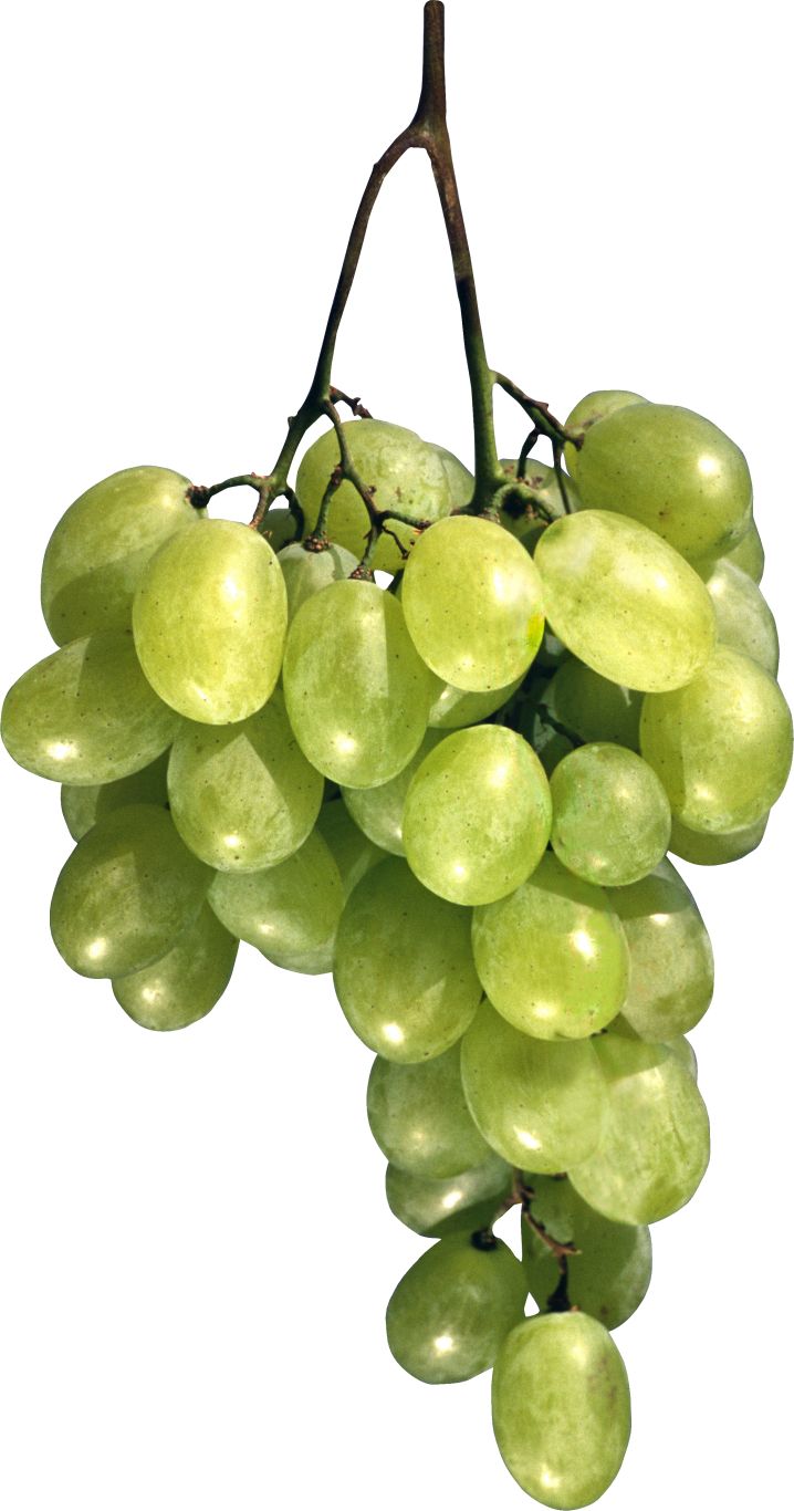 Green grape PNG image    图片编号:2954
