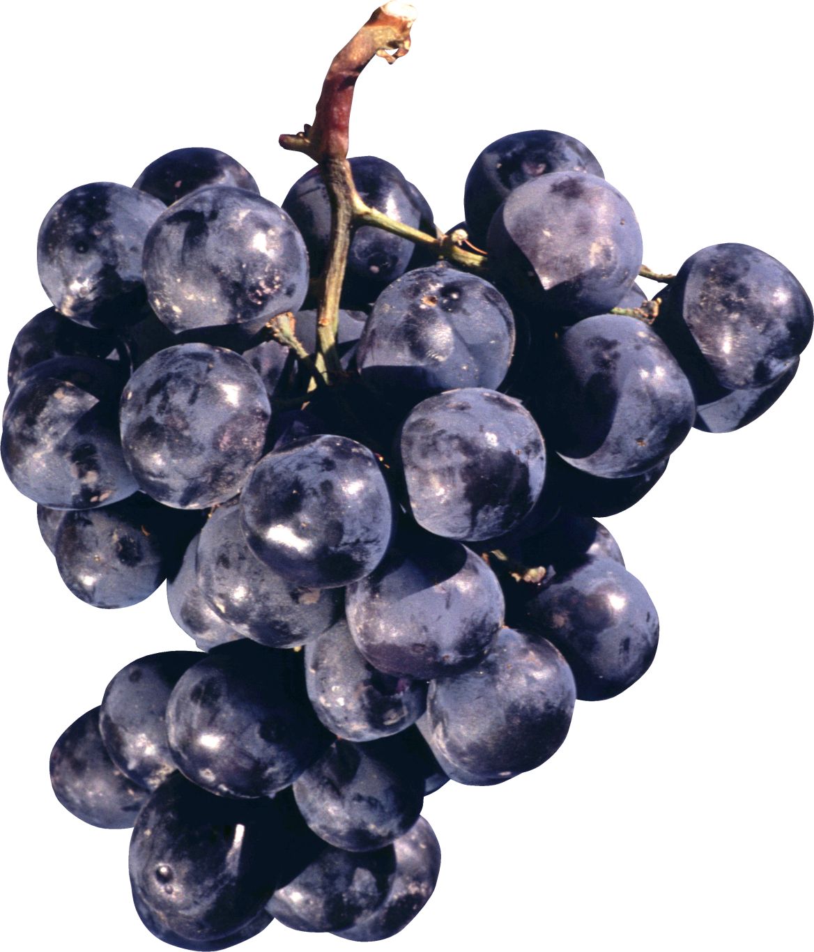 Grape PNG image    图片编号:2955
